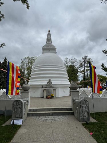 TempleVolunteer-26