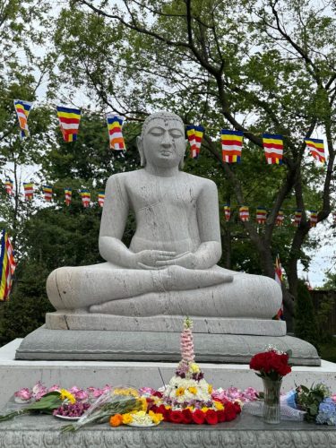 TempleVolunteer-27